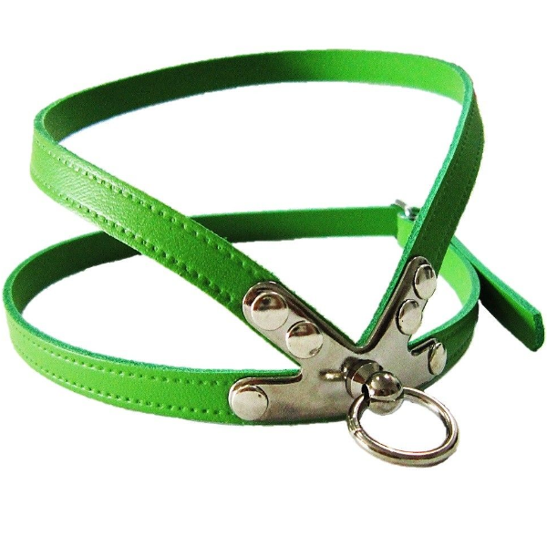 Pet Expert Ham Clasic Verde – pet-expert,nr-3