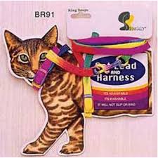 Pet Expert Ham+Lesa Pisici BR91 Card