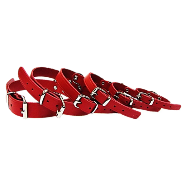Pet Expert Zgarda Clasic – nr-10