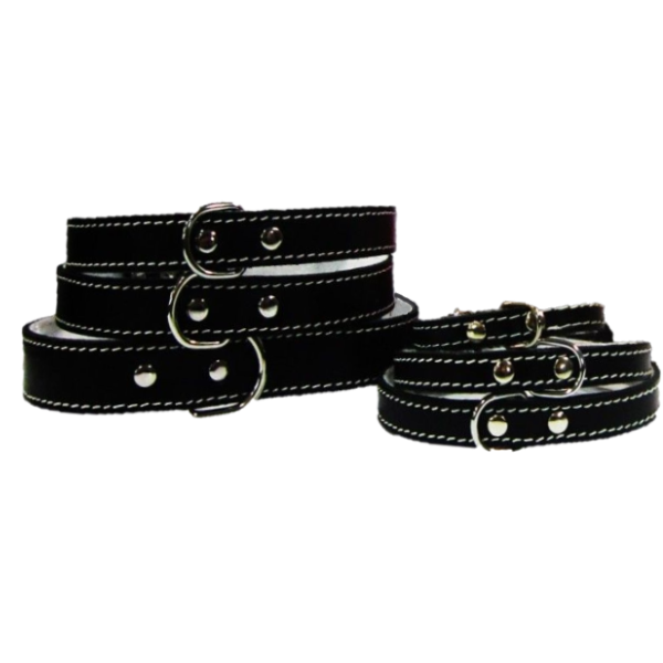 Pet Expert Zgarda Pasla Negru – nr-2
