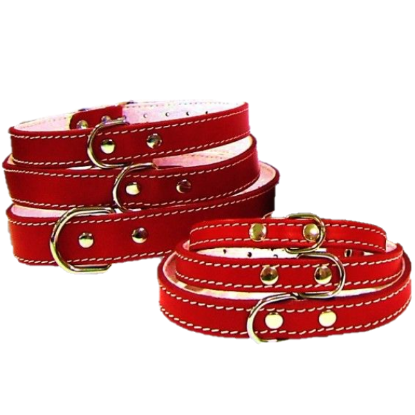 Pet Expert Zgarda Pasla Rosu – nr-2