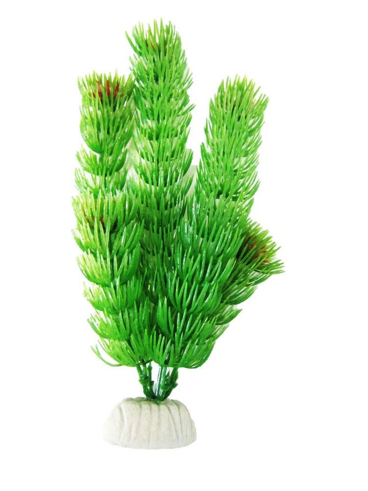 Resun Planta Plastic Hornwort 10 cm