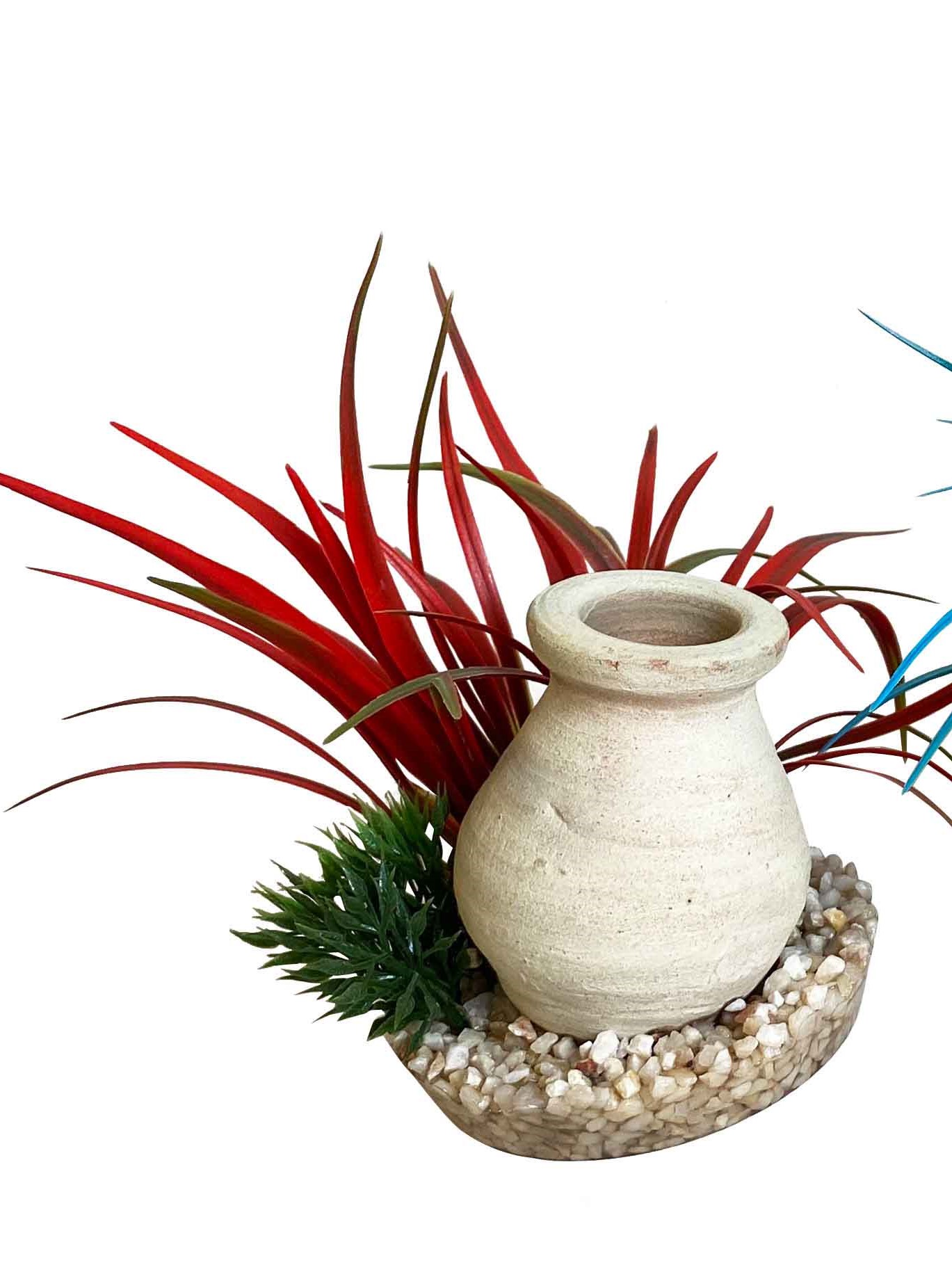 Sydeco Decor Bottle Plants 15 cm 380522