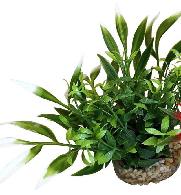 Sydeco Planta Magic Nano Garden 10 cm 380266