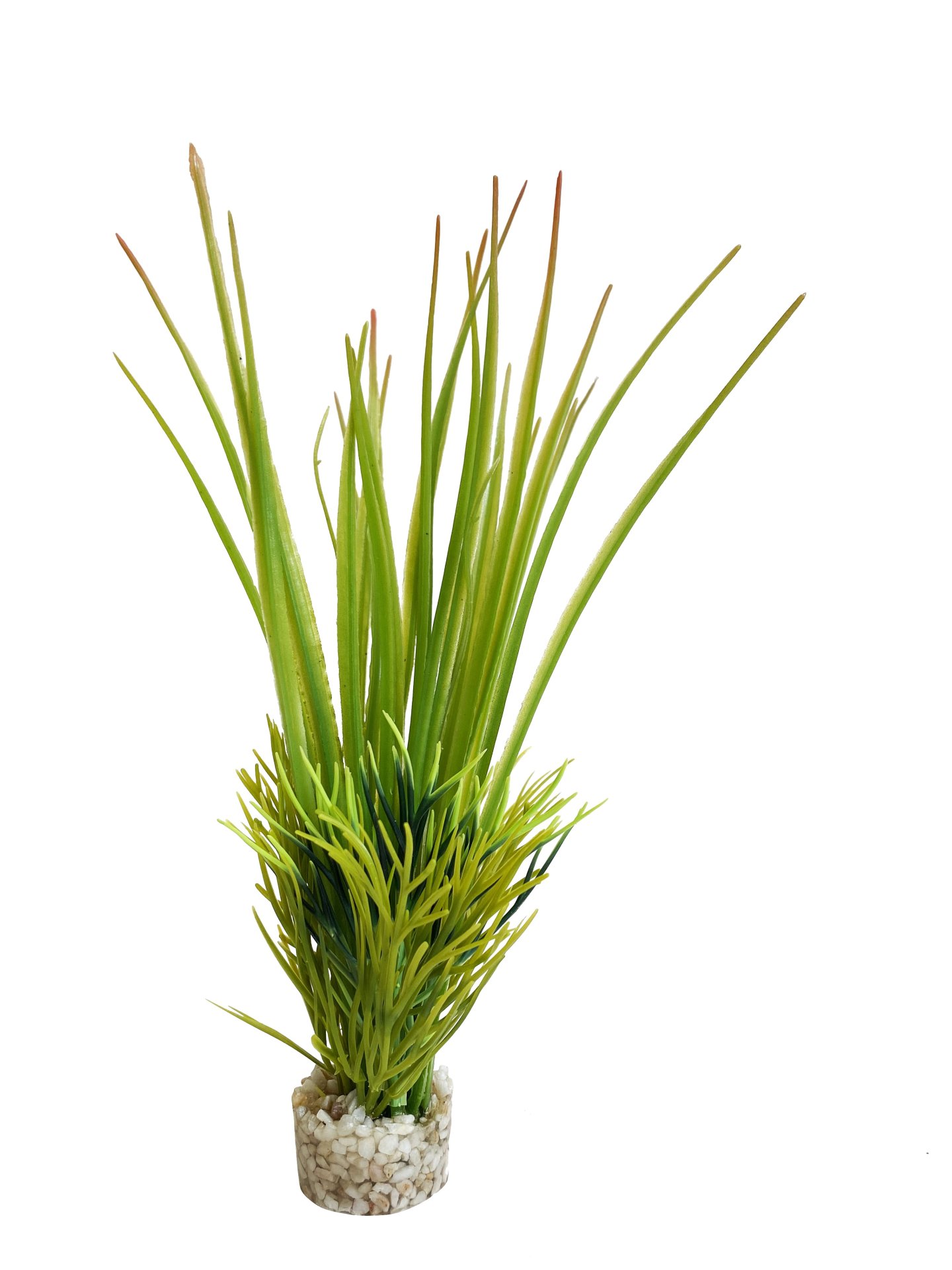 Sydeco Planta Oasis Baby 18 cm 380061