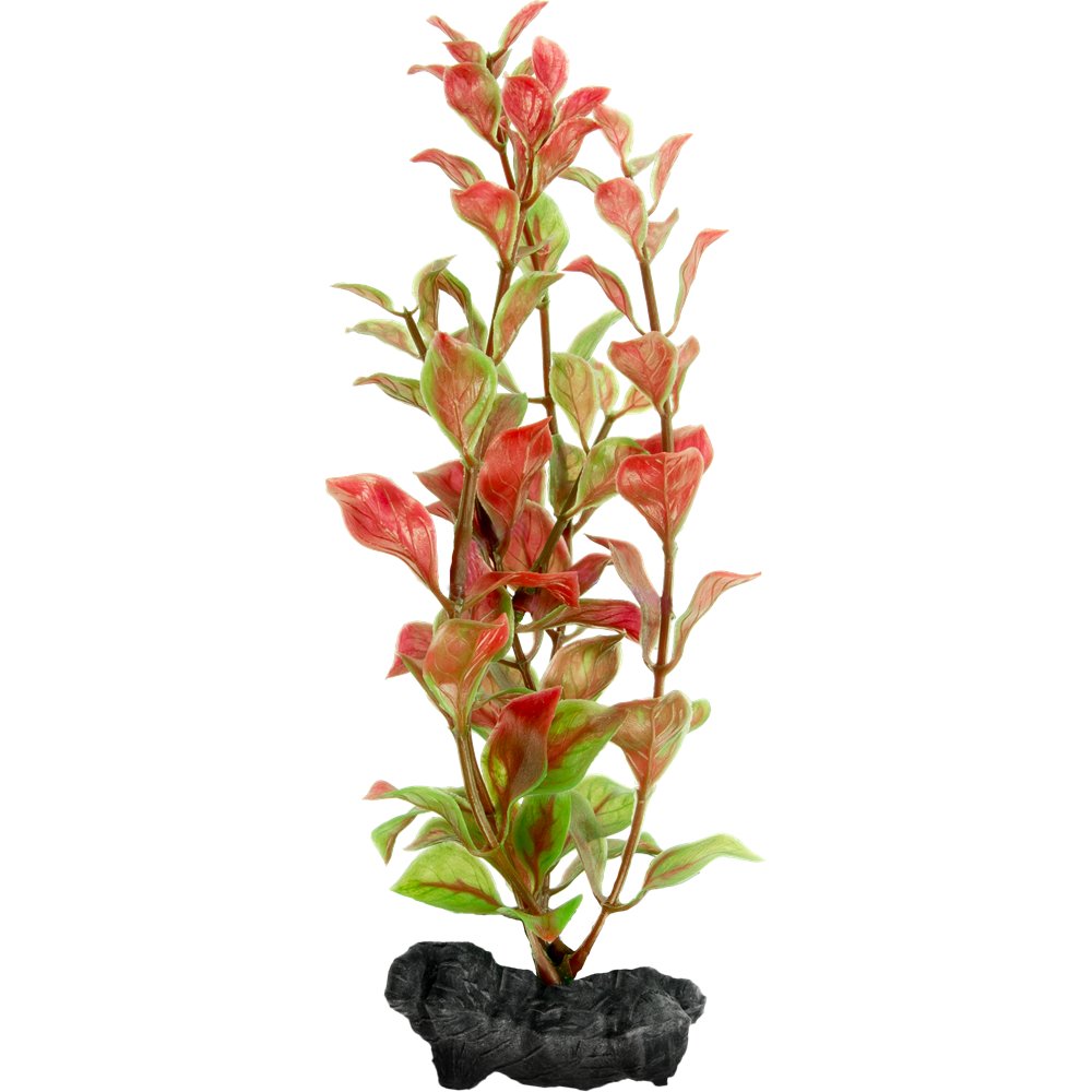 TETRA PLANTA DECOART RED LUDWIGIA M 30 CM
