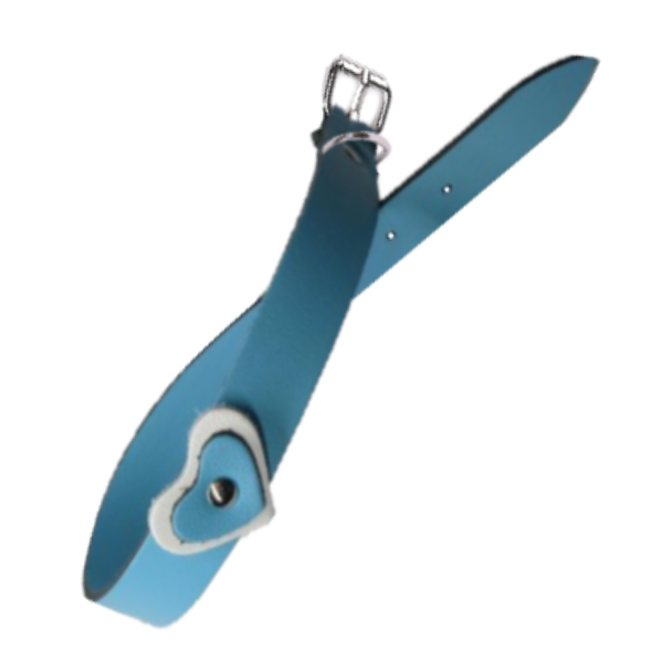 Zgarda Caine Streetside Inima 1.6/40 cm Albastru Nr 1