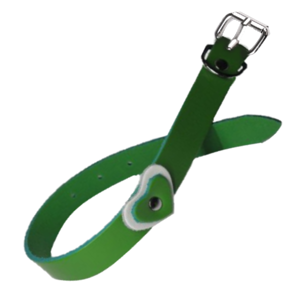 Zgarda Caine Streetside Inima 1.6/40 cm Verde Nr 1