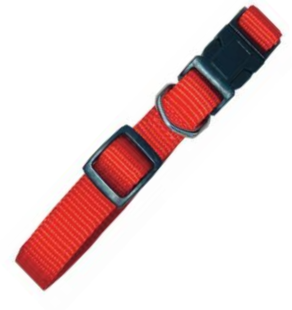 Zgarda Nylon 10 mm