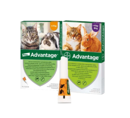 Advantage Pipeta Pisica – peste-4-kg