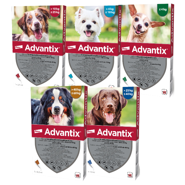 Advantix Pipeta Caine – m