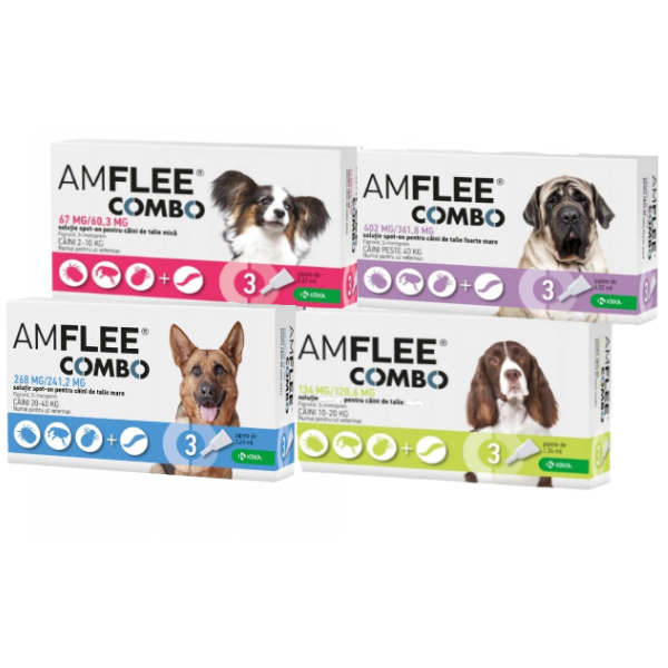 AmFlee Combo Caine – xl