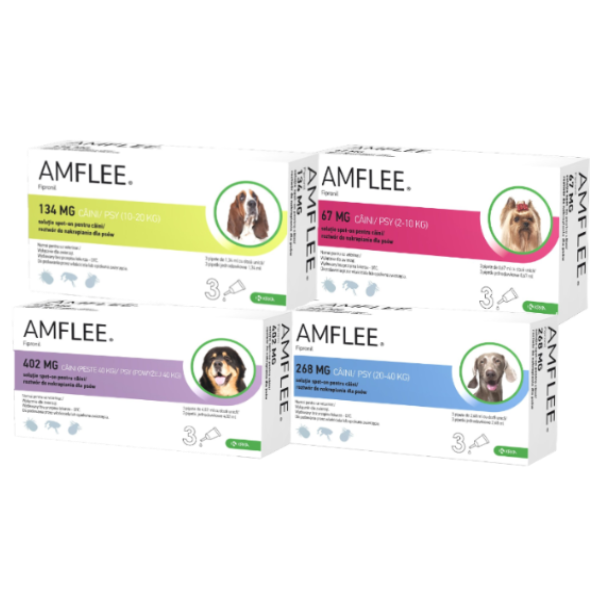 Amflee Pipeta Caine – l