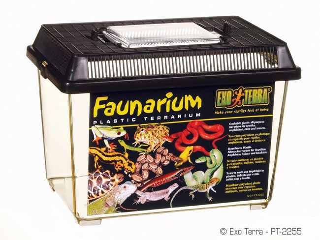 Exo Terra Faunarium Mini PT 2250