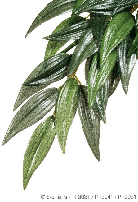 Exo Terra Planta Ruscus Small 35 CM PT3031