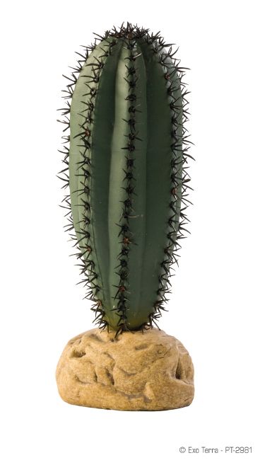 Exo Terra Plante Saguaro Cactus S PT2981