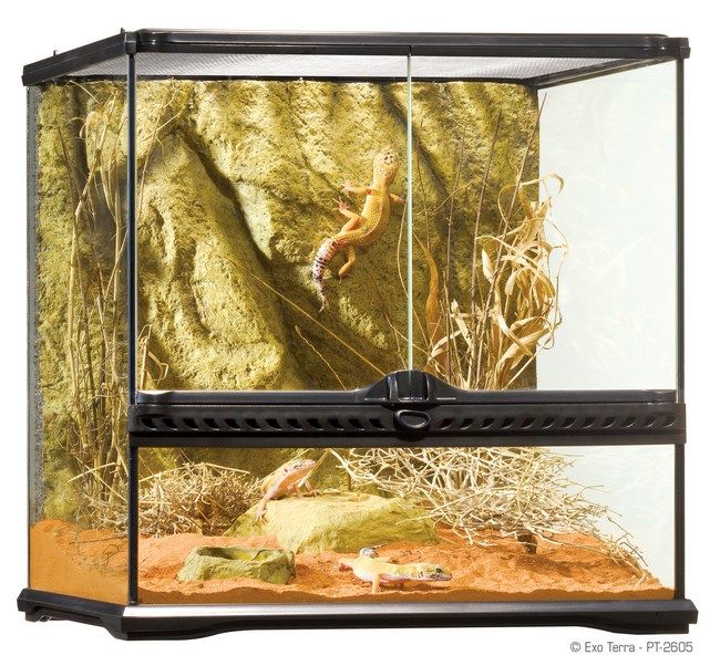 Exo Terra Terariu Sticla 45X45X45 cm PT2605