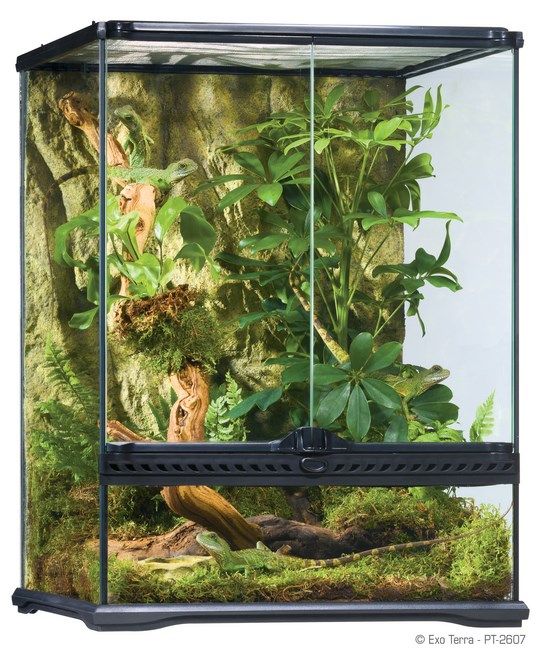 Exo Terra Terariu Sticla 45X45X60 cm PT2607