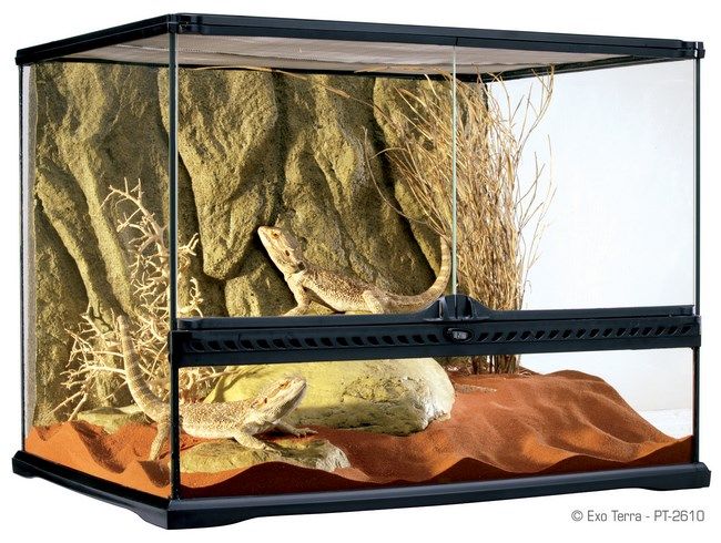 Exo Terra Terariu Sticla 60X45X45 cm PT2610