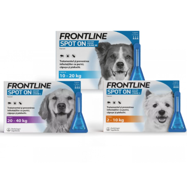 Frontline Caine – s