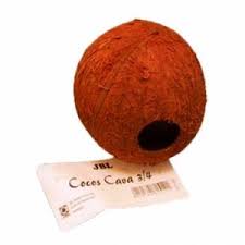 Jbl Decor Cocos Cava 3/4 L