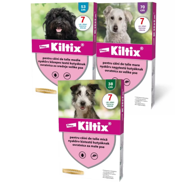 Kiltix Zgarda Caine – mica