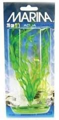 Marina Plante Corkscrew Vallisneria 12,5 cm PP506