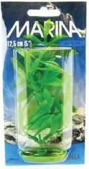 Marina Plante Hygrophila 12,5 cm PP513