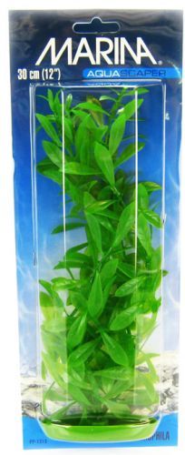 Marina Plante Hygrophila 37,5 cm PP1513