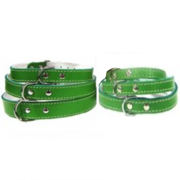 Pet Expert Zgarda Pasla Verde – nr-4