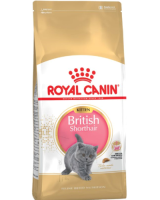 Royal Canin Felin British Shorthair Kitten – 10-kg