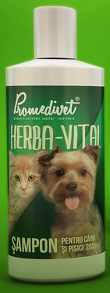 Sampon Herba Vital