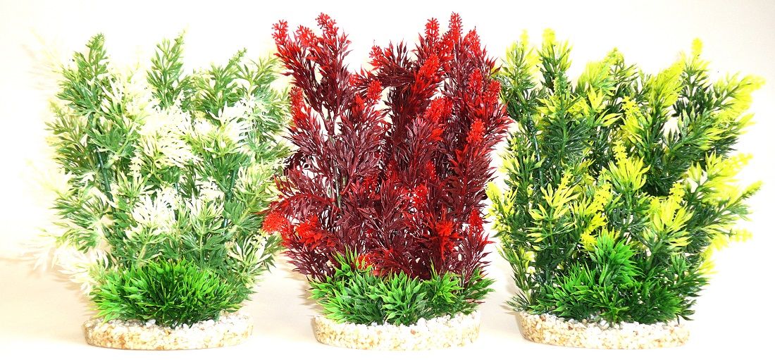Sydeco Plante Hedge 25cm 349708