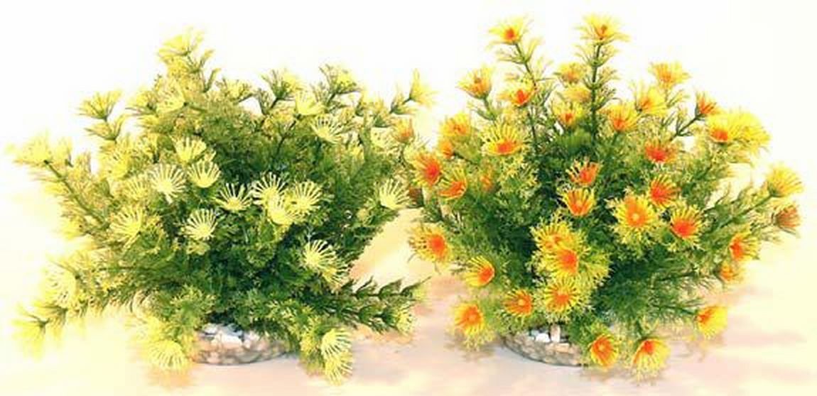 Sydeco Plante Marina Bowl 21cm 349610