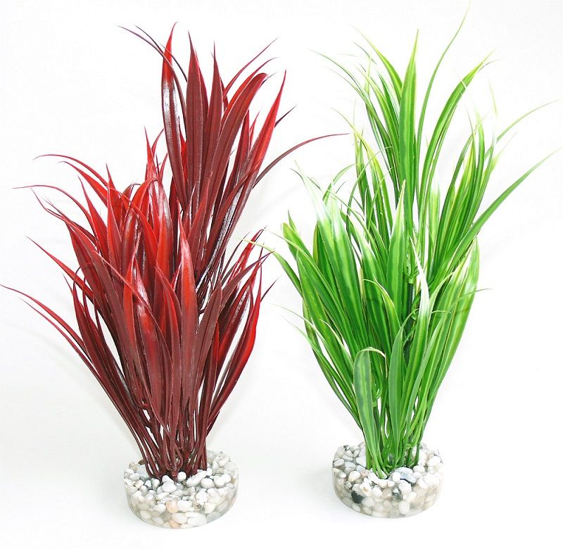 Sydeco Plante Sword Plant 25cm 350113