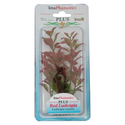 Tetraplant Red Ludwigia 23 cm